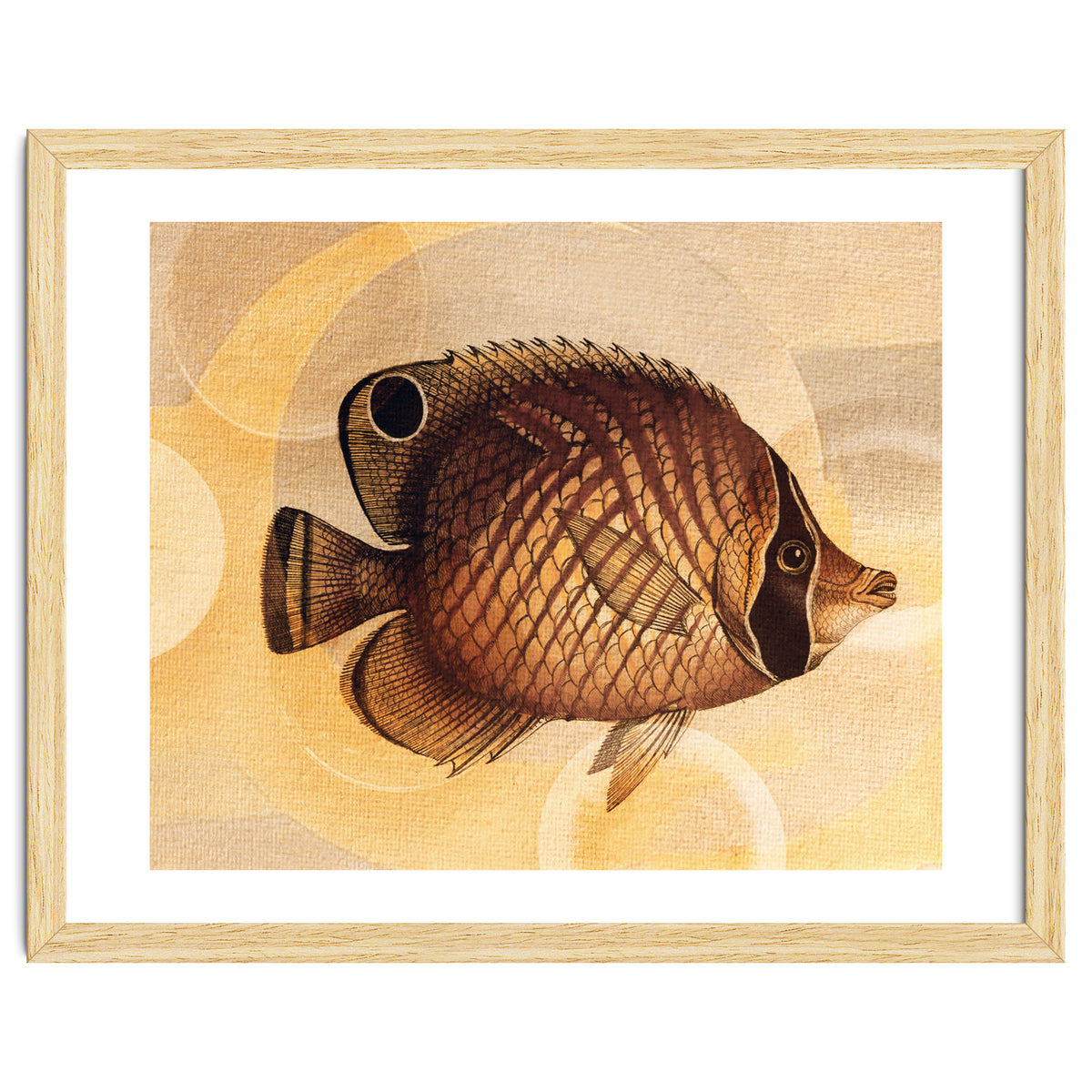 Fish Between Circles 3