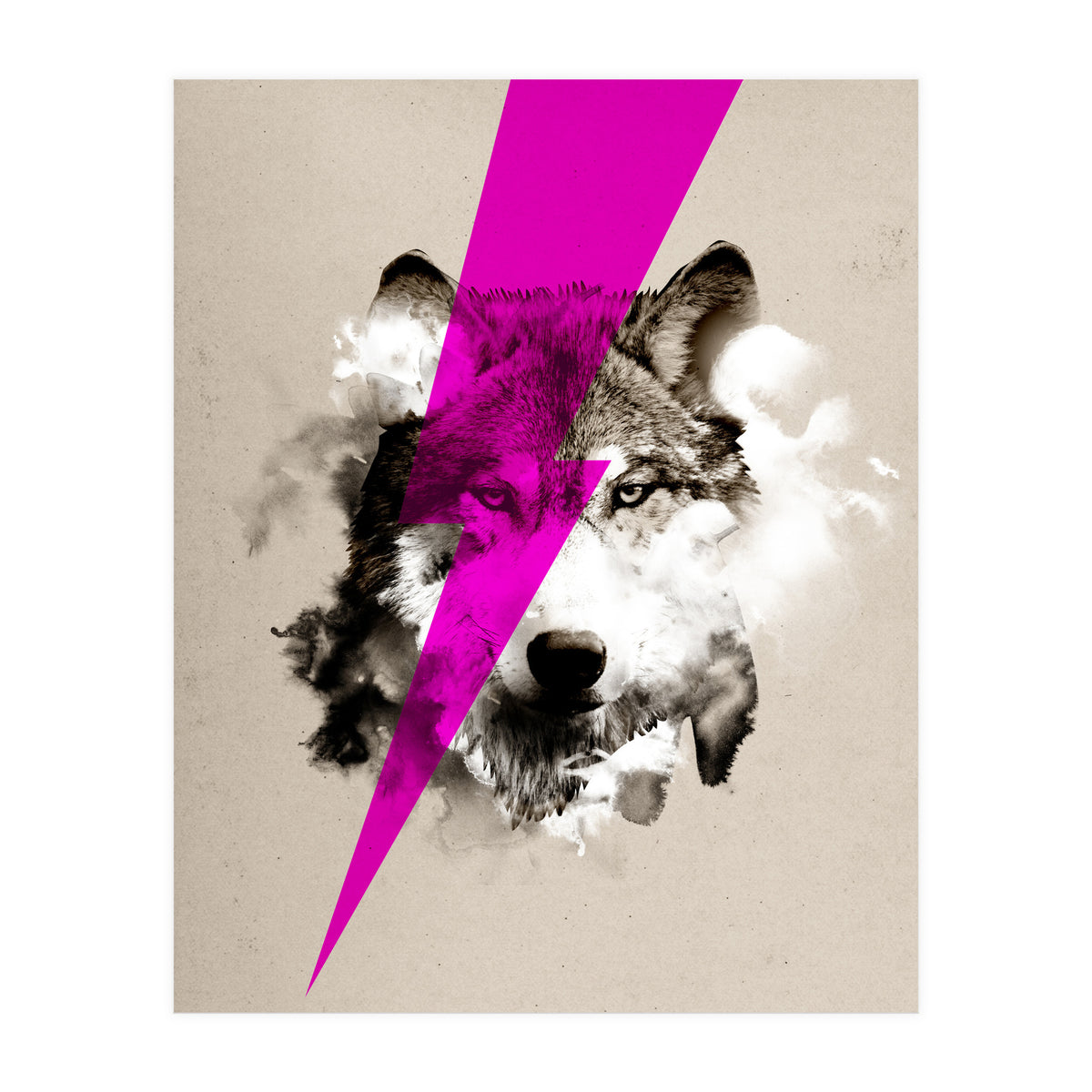 Wolf Rocks (Print Only)