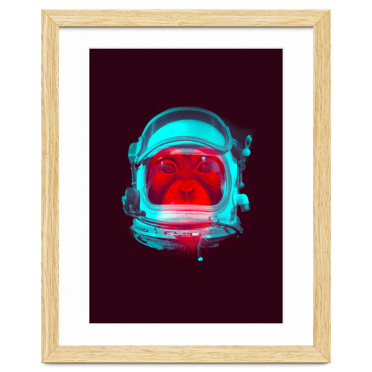 Astronaut