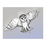 Attacking barn owl (Print Only) thumbnail