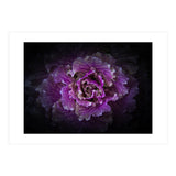 Backyard Flowers No 42 Color Version (Print Only) thumbnail