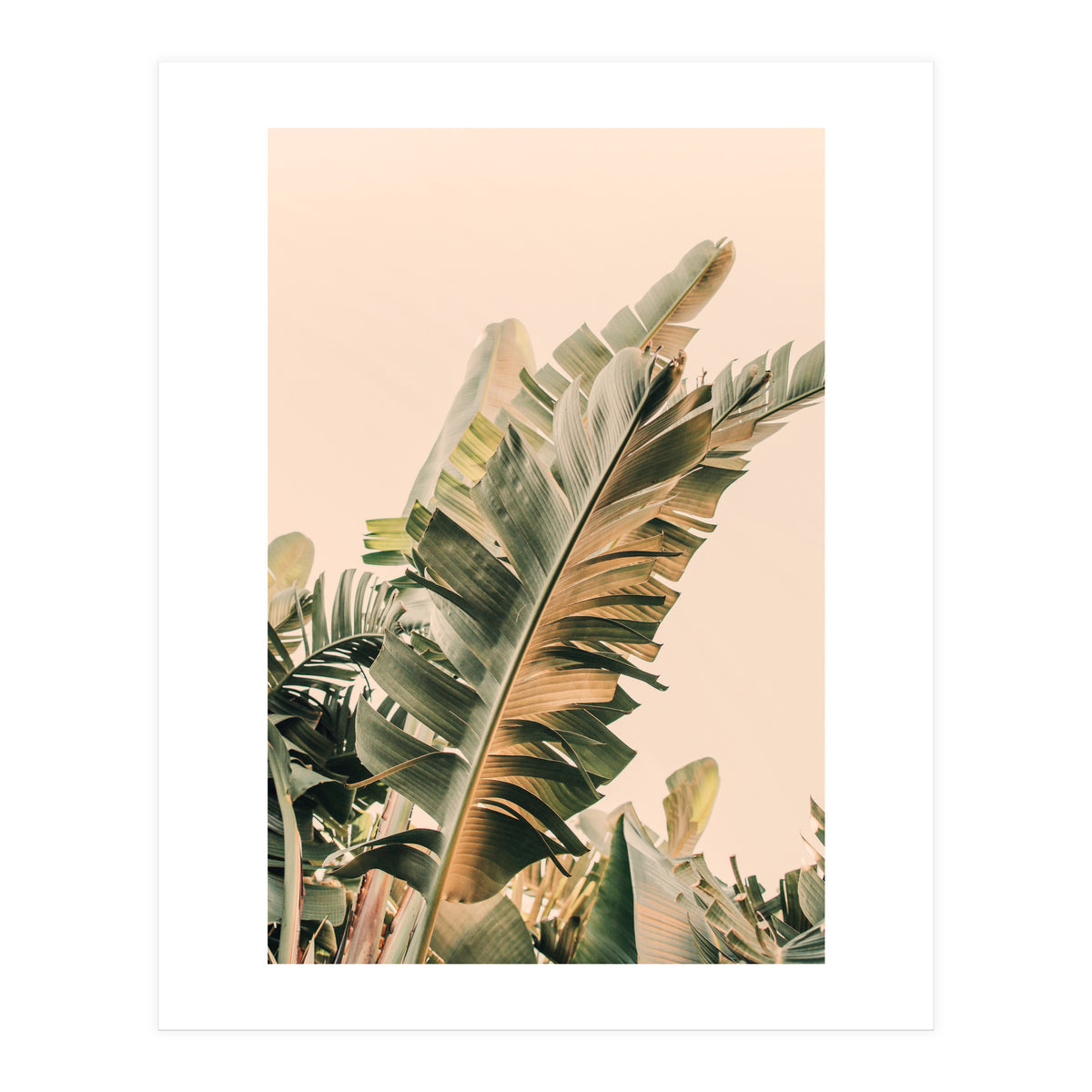 Growing Green Alicia Bock (Print Only)