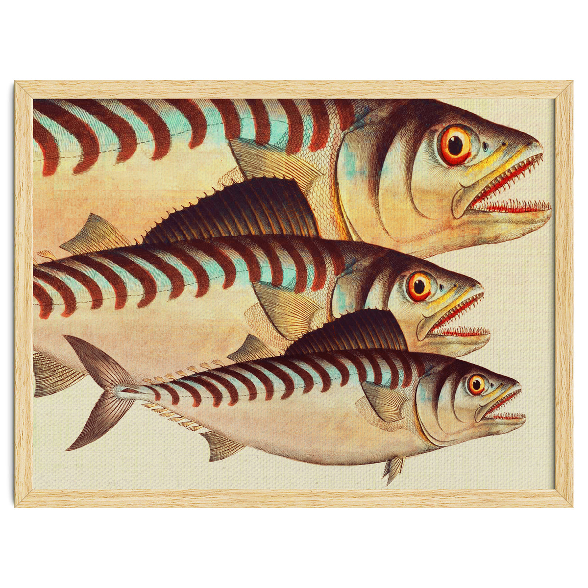 Fish Classic Designs 8