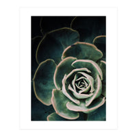 Darkside Of Succulents 4-D (Print Only)