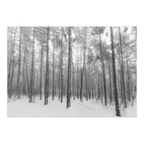 Let It Snow Forest (Print Only) thumbnail