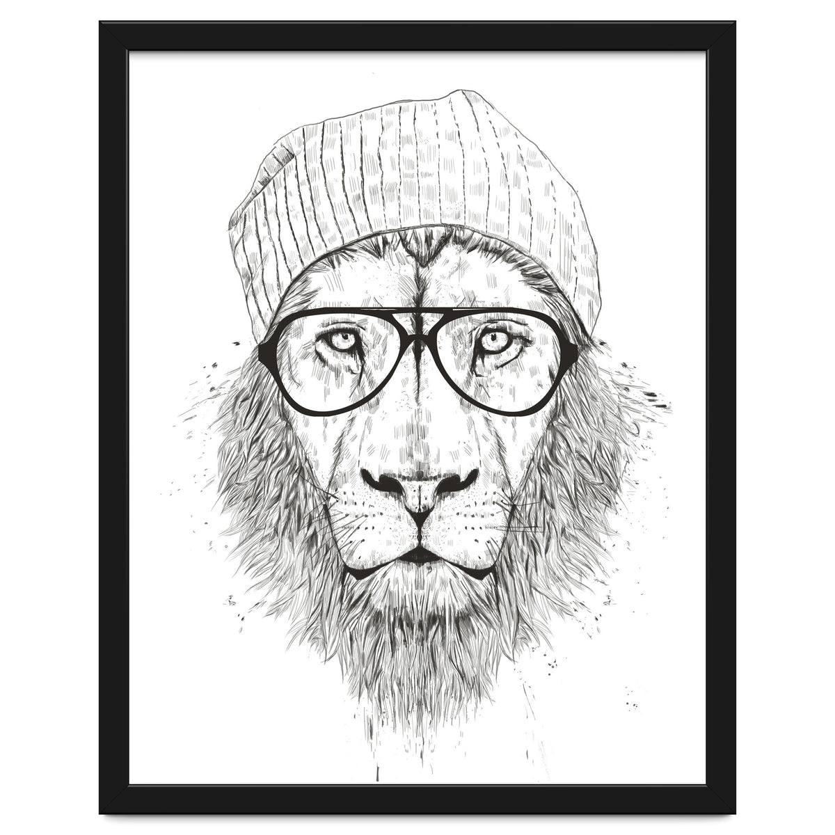 Cool Lion Bw