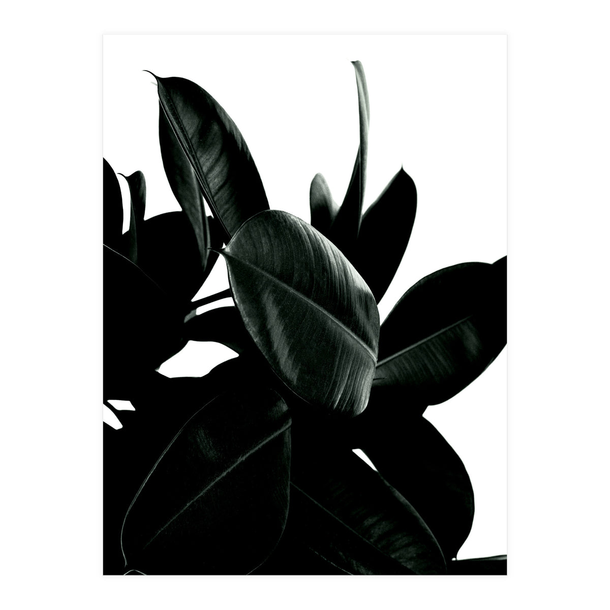 Dark Tree (Print Only)