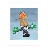 Hoopoe bird (Print Only) thumbnail