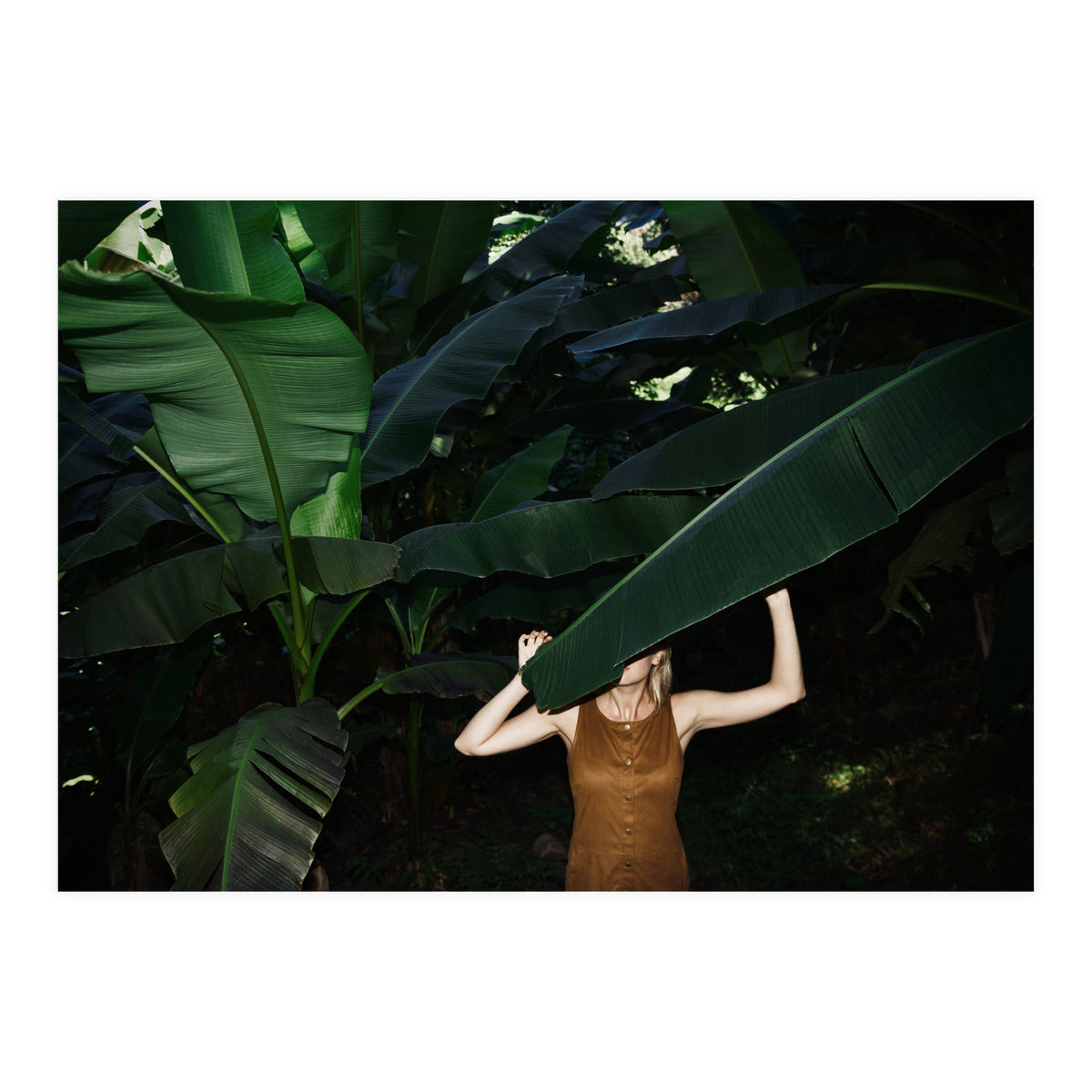 Facepalm (Print Only)