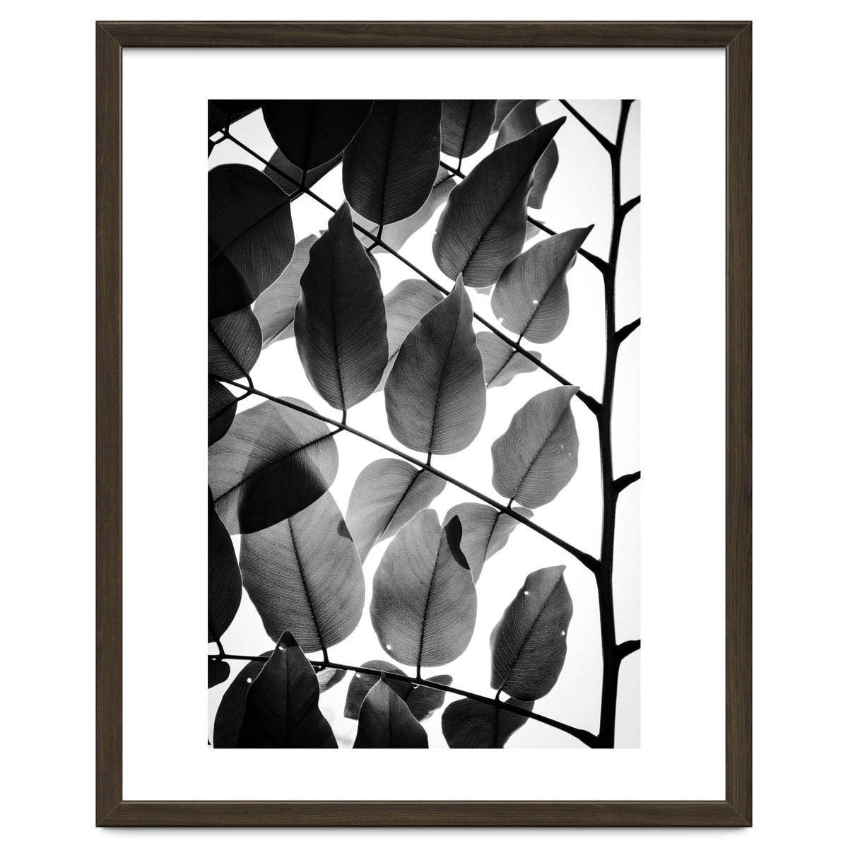 Branches and Leaves II