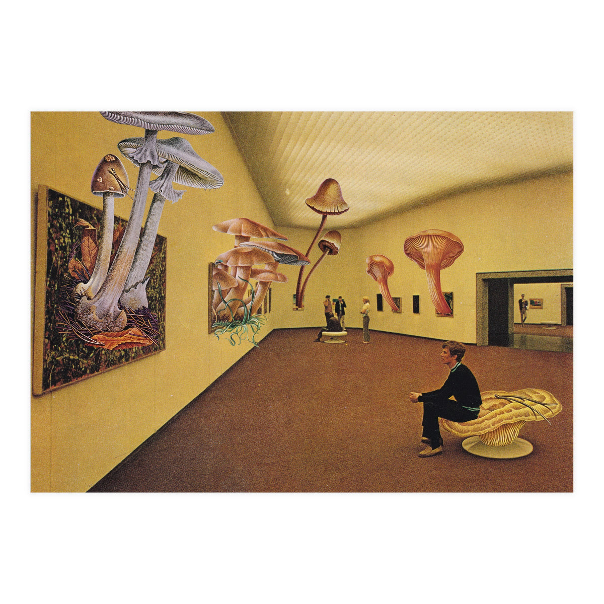 Art Gallery (Print Only)