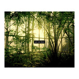 you are here - Nature Photography -  (Print Only) thumbnail