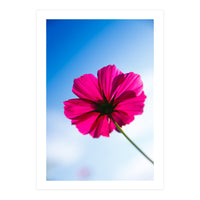 RED FLOWER (Print Only)