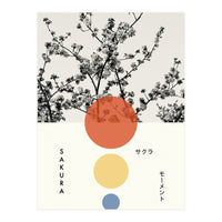 Sakura - Cherry blossom - Japanese - Photography (Print Only)