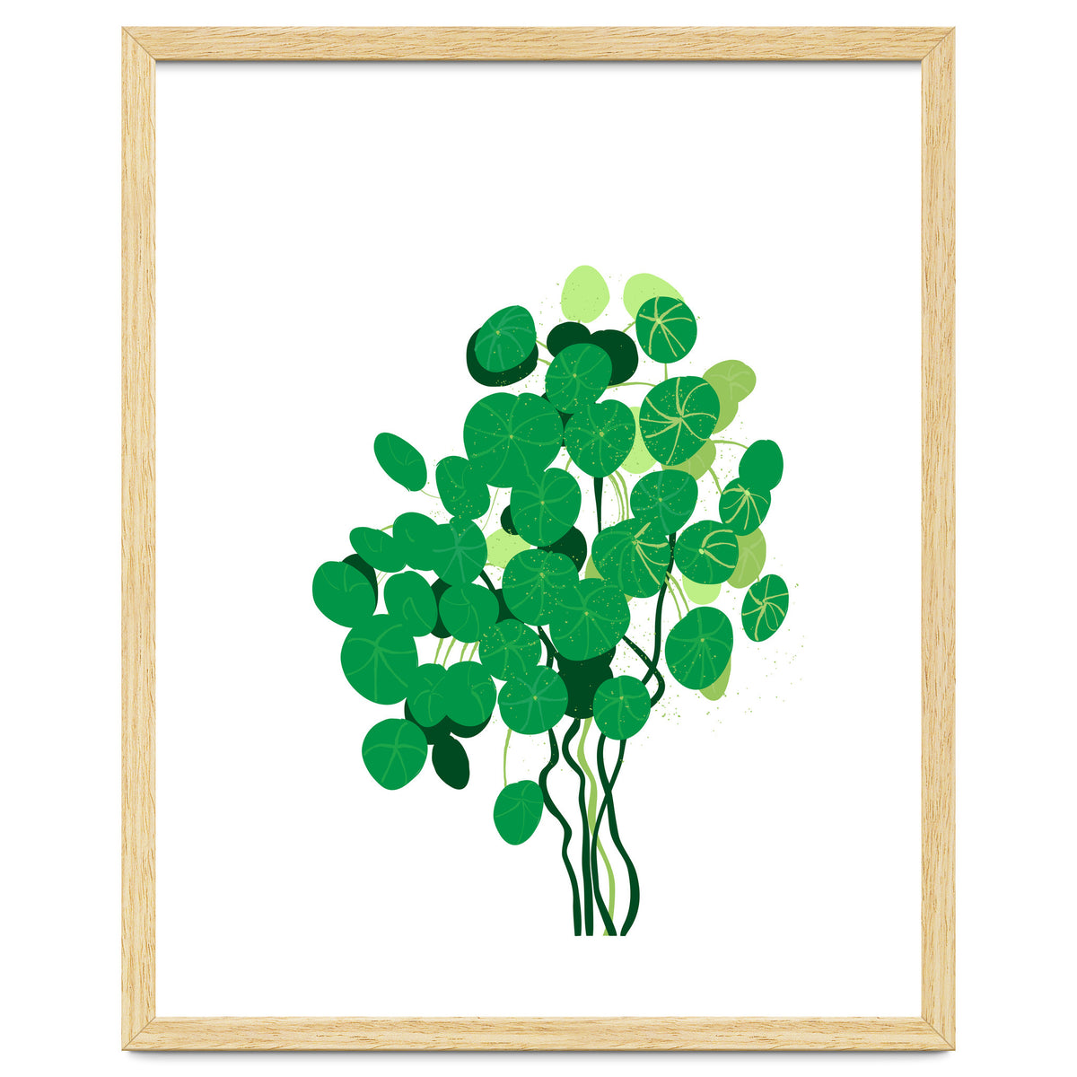 Pilea