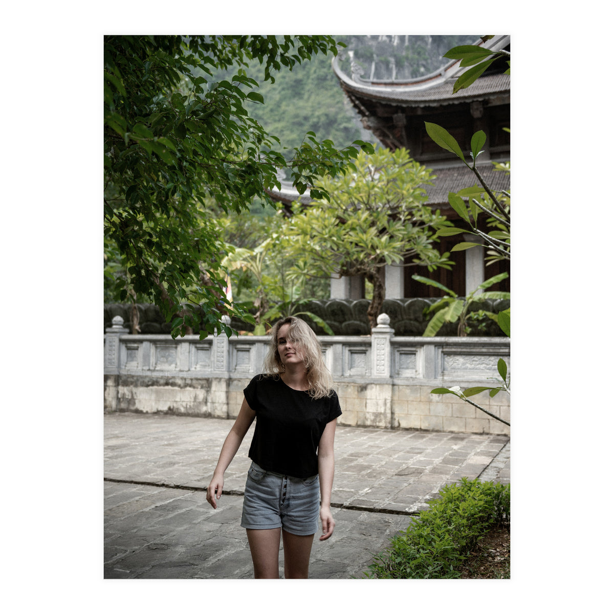 Vietnam Travel (Print Only)