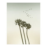 Vintage palm trees at sunset (Print Only) thumbnail