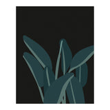 Bird Of Paradise (Print Only) thumbnail