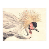 Crowned Crane (Print Only) thumbnail