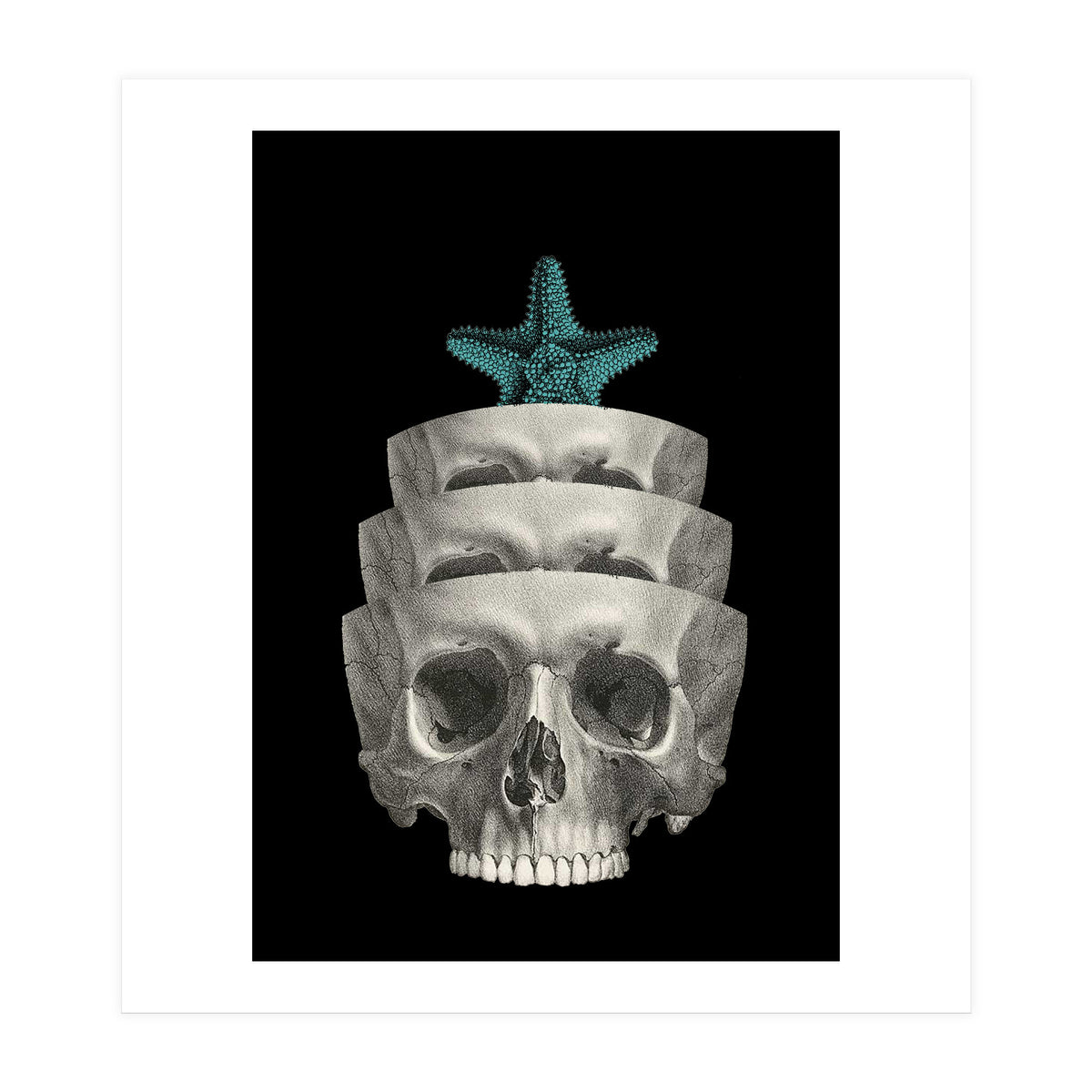 teschio (Print Only)