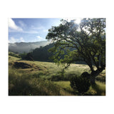 Henry Coe I (Print Only) thumbnail