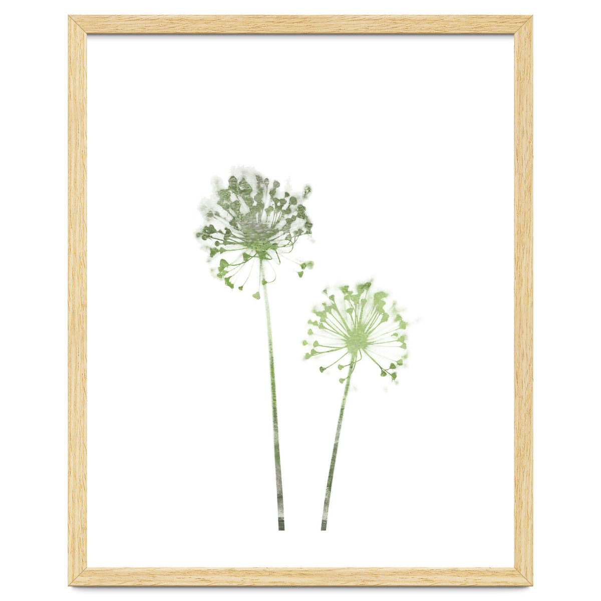 Olive Green Dandelion