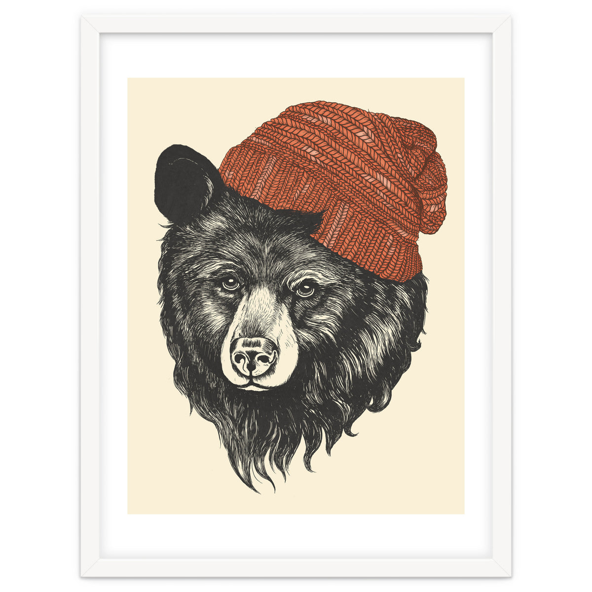 Zissou The Bear