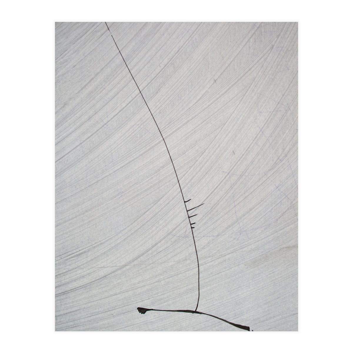 Abstract #1 (Print Only)