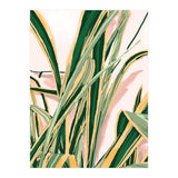 Blush Botanical Unfolding (Print Only) thumbnail