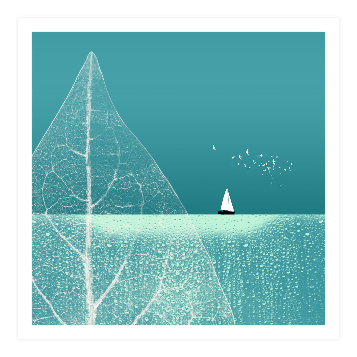 Ocean Wonderland Ii-B  (Print Only)