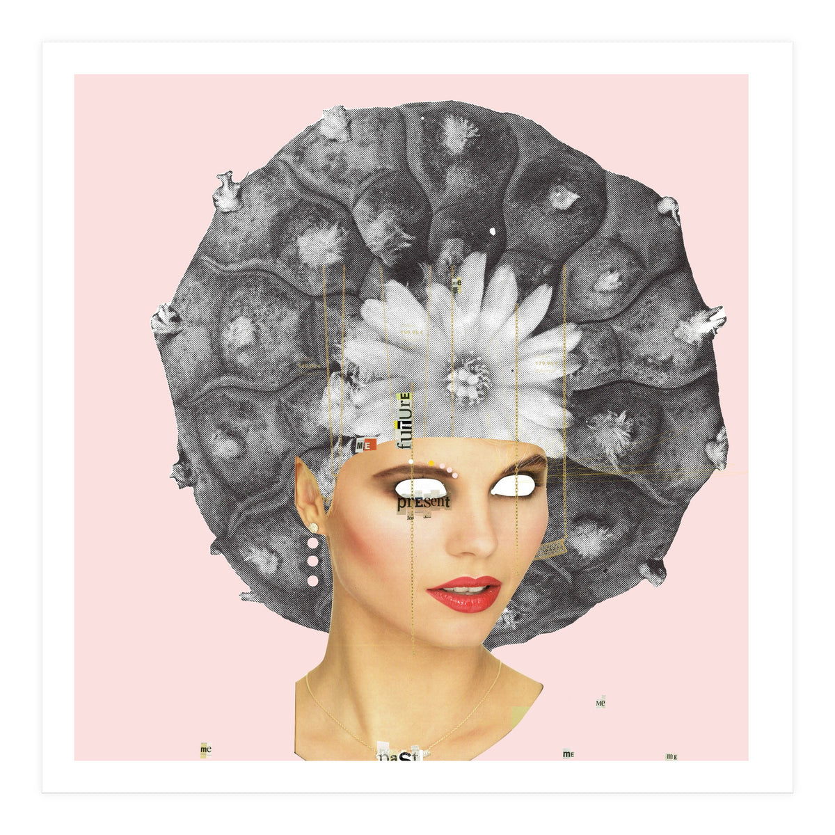 Rosa, Present (Print Only)