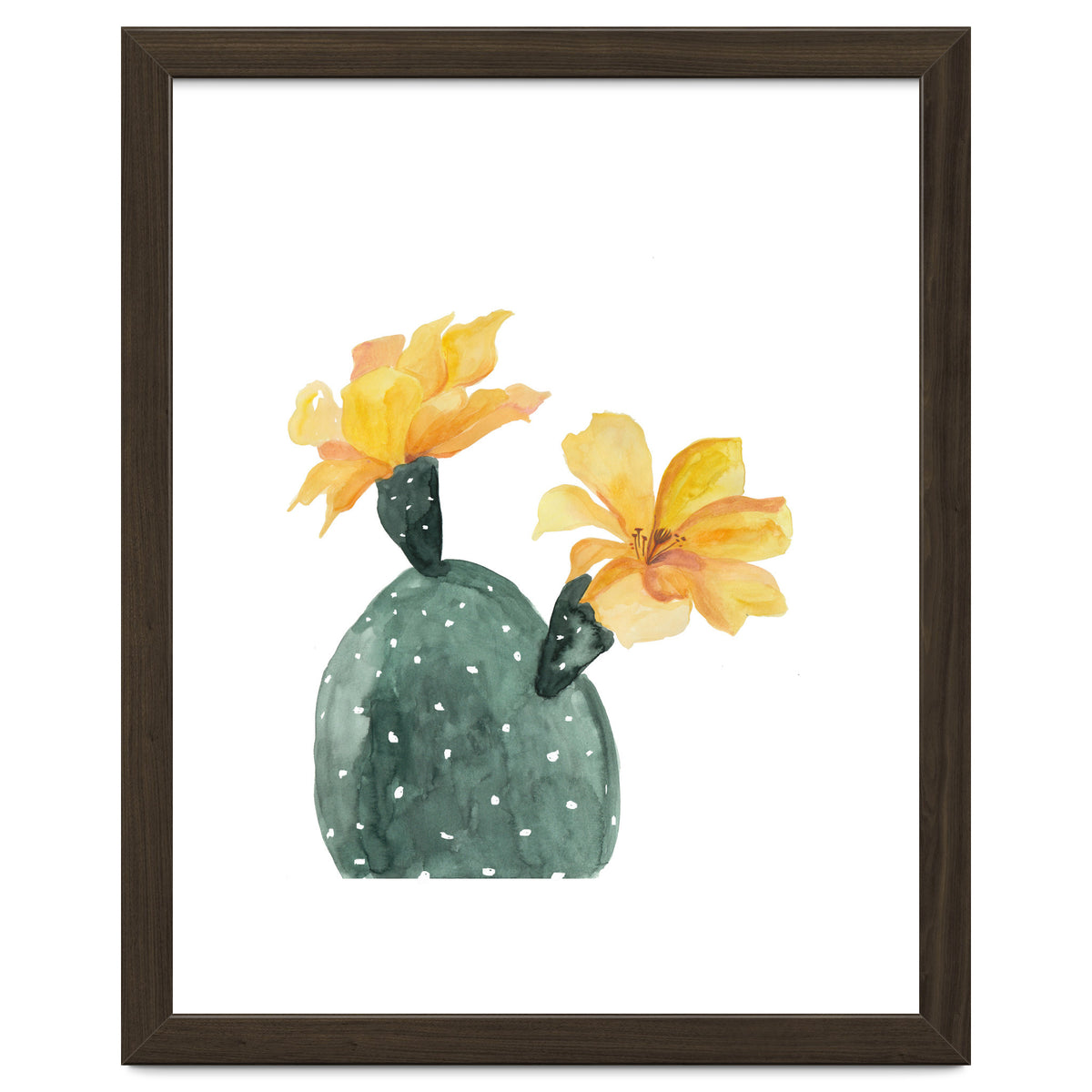 Botanical Illustration Yellow Cactus Flowers