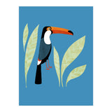 Toucan (Print Only) thumbnail