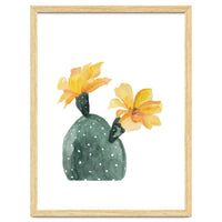 Botanical Illustration Yellow Cactus Flowers