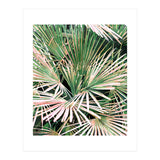 Palms II (Print Only) thumbnail