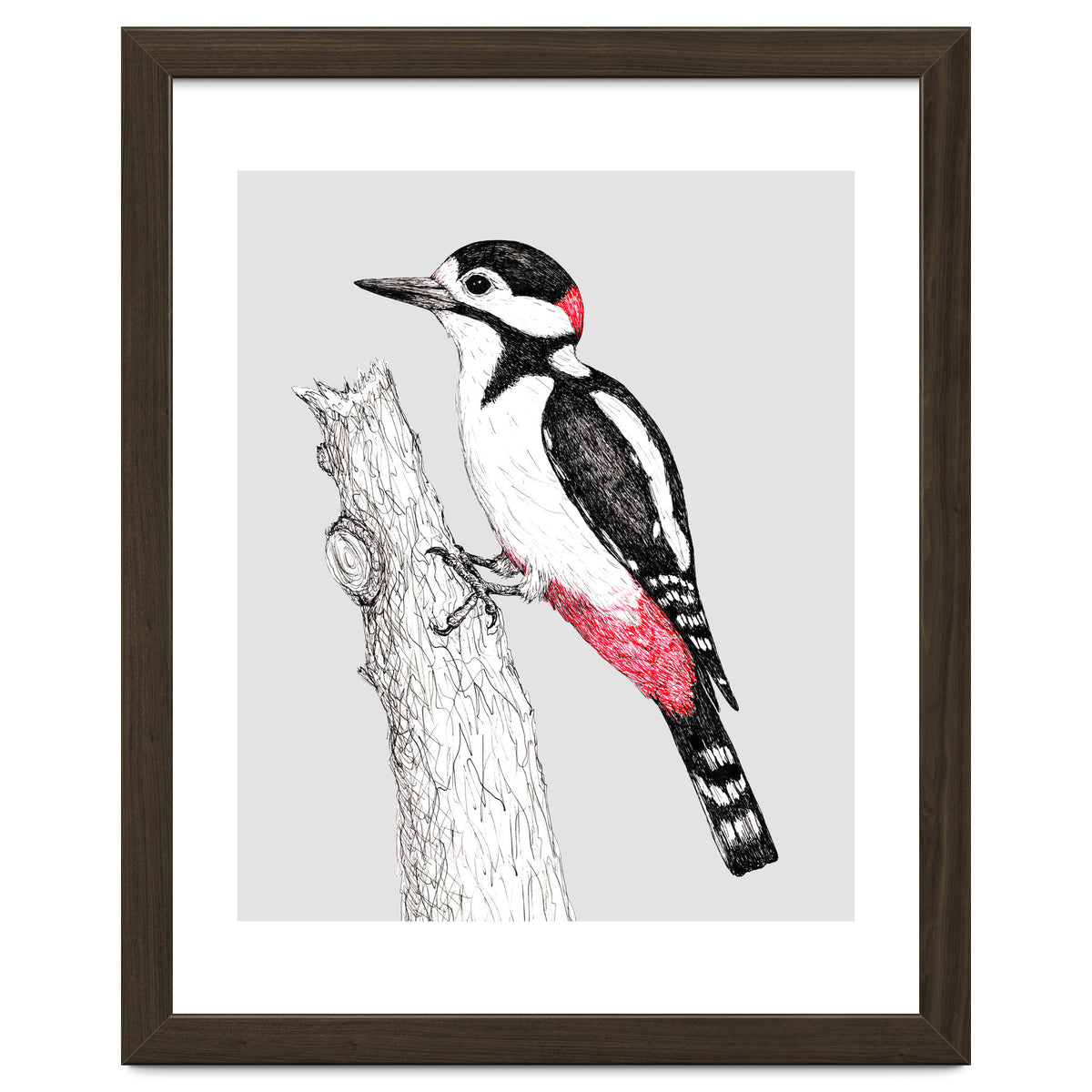 Great spotted woodpecker