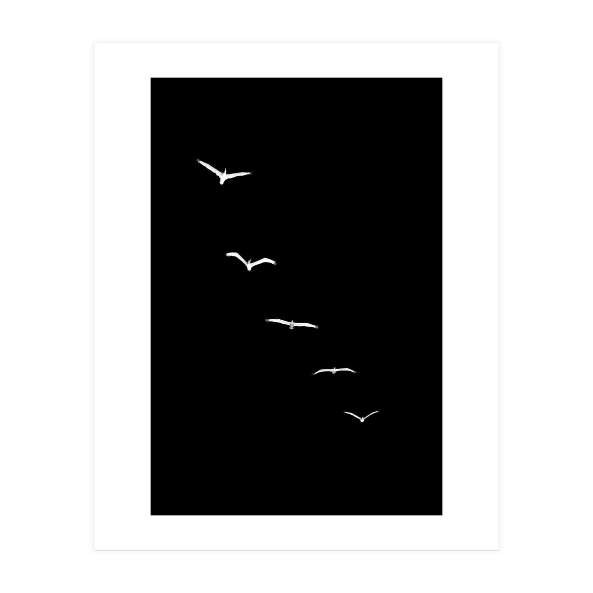 Heavenly Creatures Dark (Print Only)