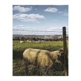 Bucolism 5 (Print Only) thumbnail