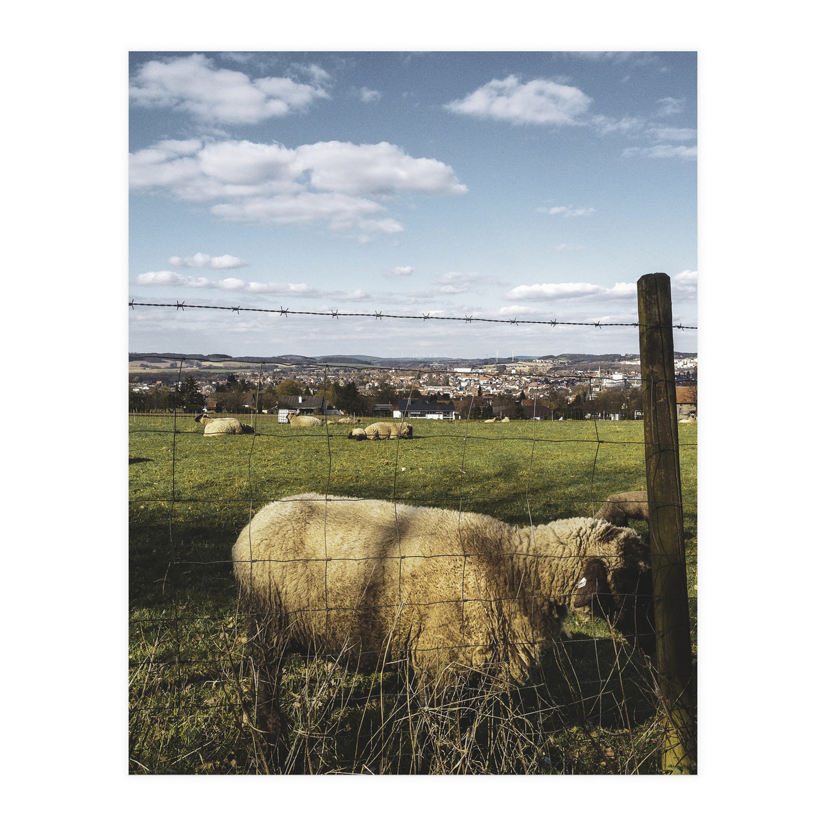 Bucolism 5 (Print Only)