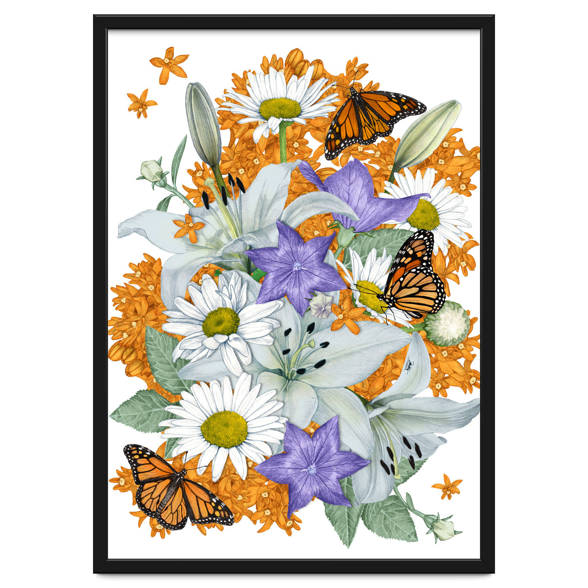 Lillies and Monarchs