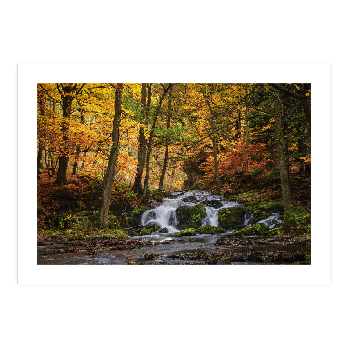 Selkewaterfal (Print Only)