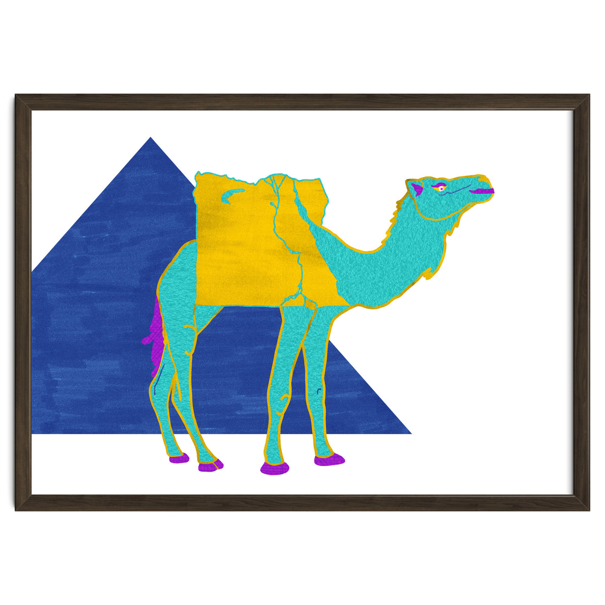 Egyptian Dromedary