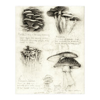 Mushrooms (Print Only)