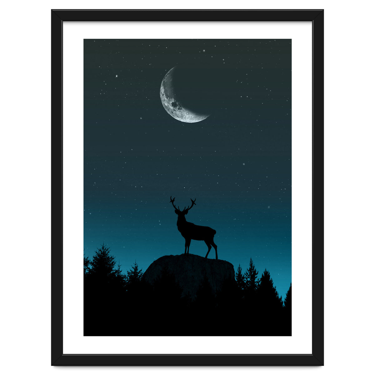 Wild Nature - Nocturne