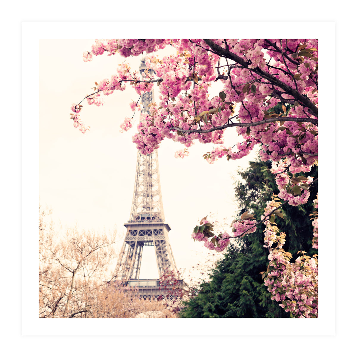 Paris in the Spring (Print Only)