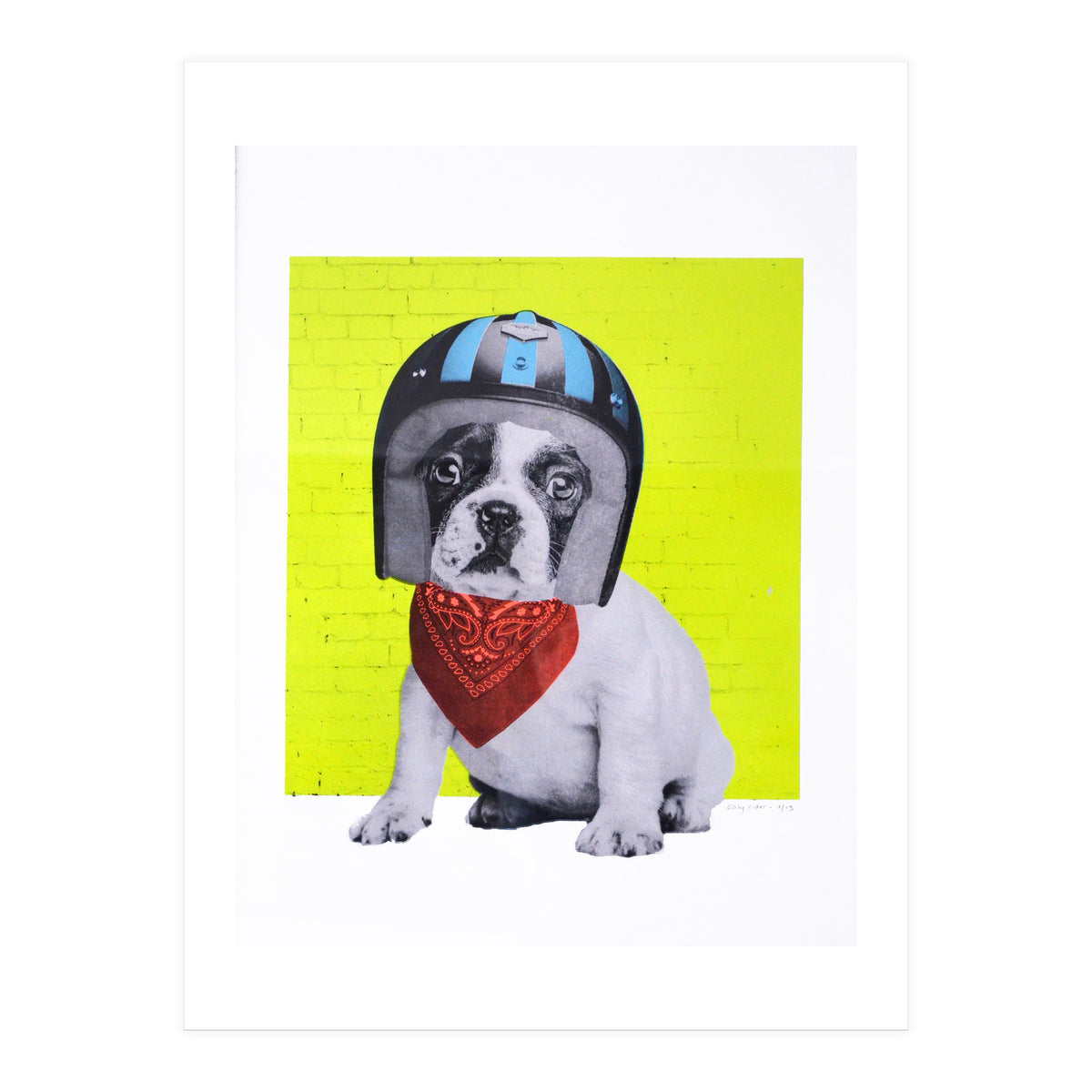 Easy Rider Dog (Print Only)