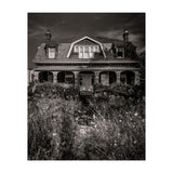 No 1444 Queen St E 2 (Print Only) thumbnail