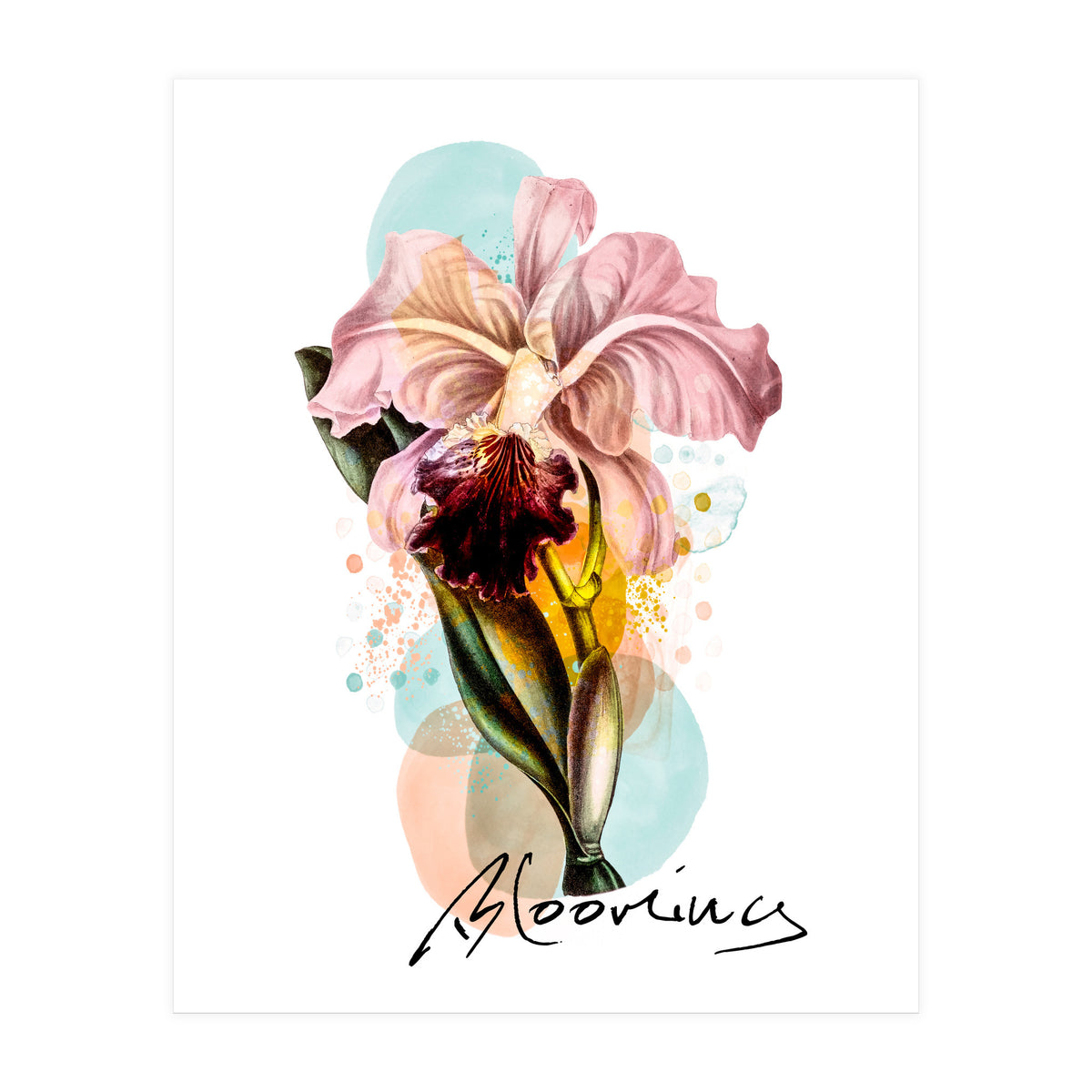 Blooming (Print Only)