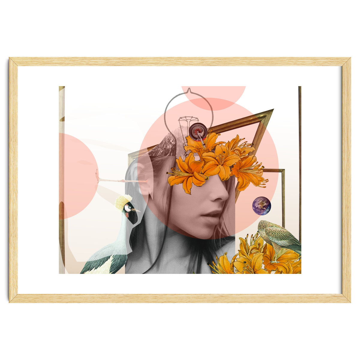 Dreamland Division · D