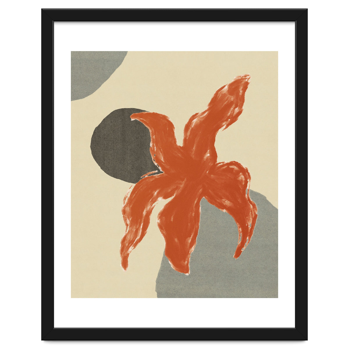 Wobbly Sea Star On Rocks \\ Abstract Composition